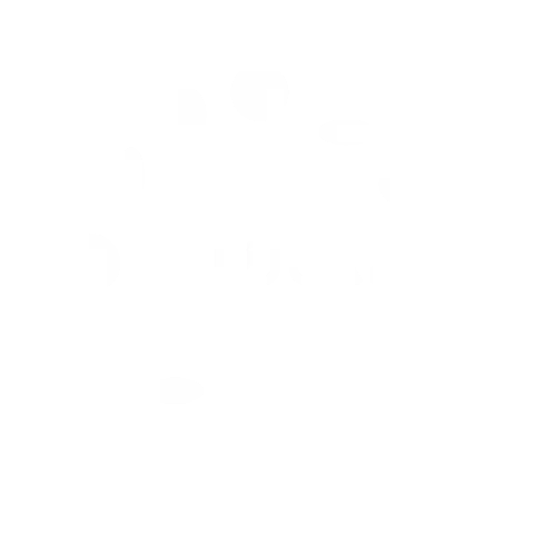 Peluuri